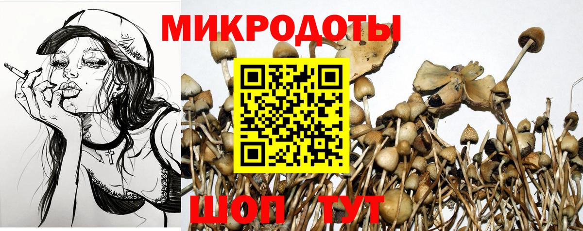 Псилоцибиновые грибы мухоморы Кимовск